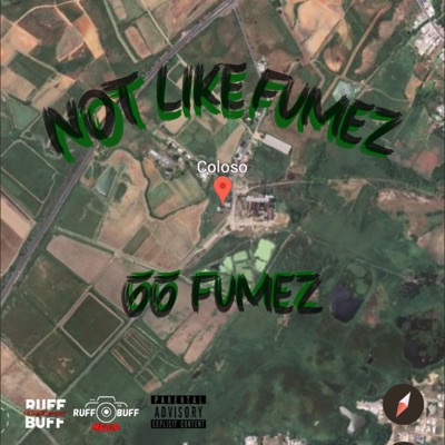 Not Like Fumez (Freestyle) - Single