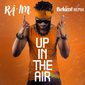Up In The Air (Bekim! Remix) - Single
