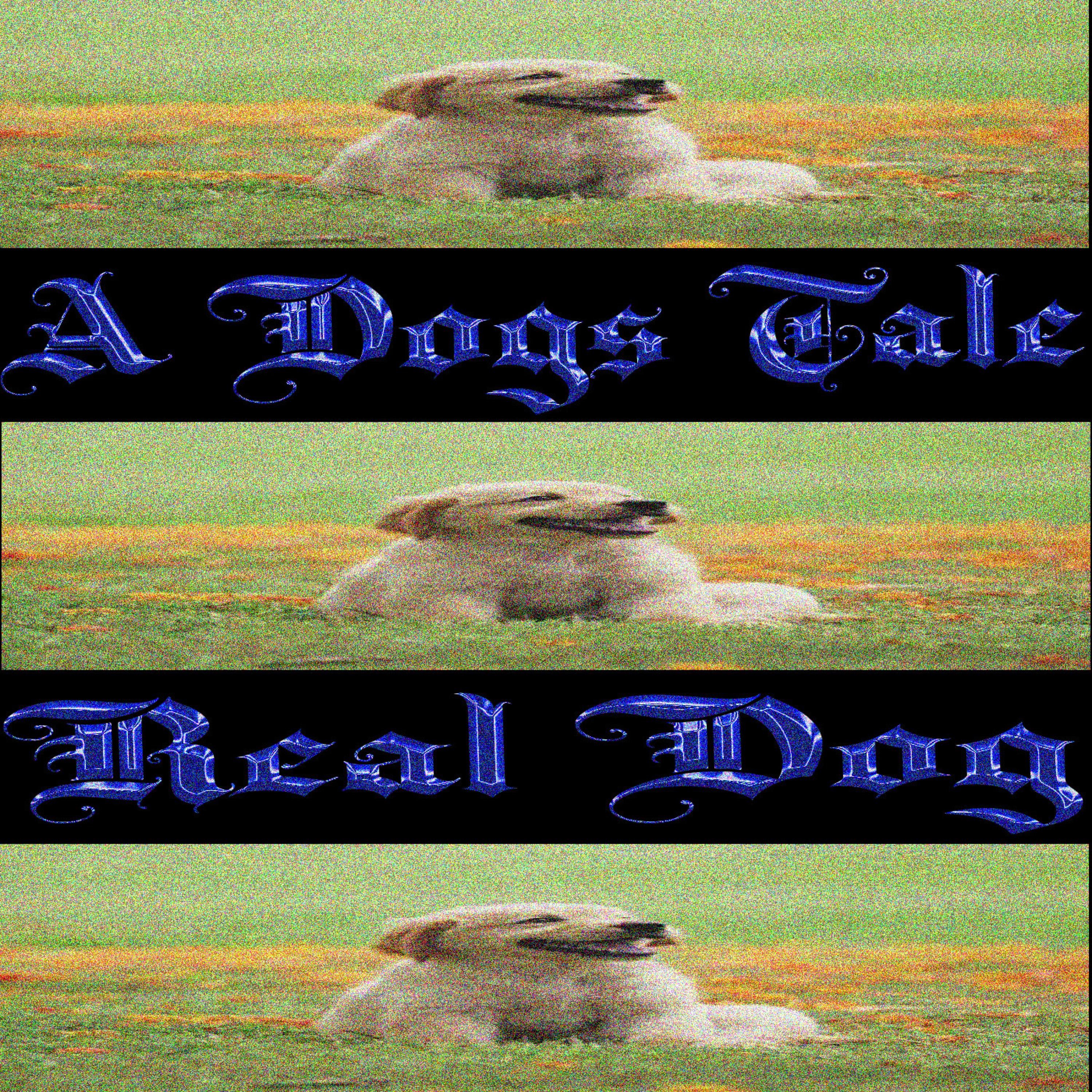 A Dog's Tale