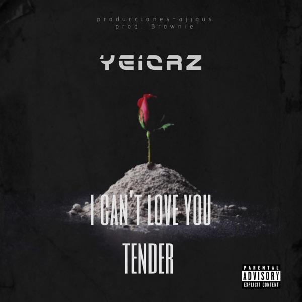 I can't love you tender