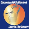 Lost in the Desert cover art