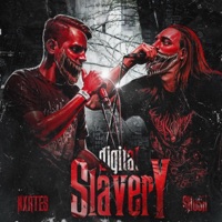 Digital Slavery - Single - Shush & NXRTES