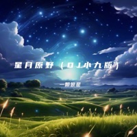 星月原野 (DJ小九版) - EP [DJ Mix] - 一颗狼星