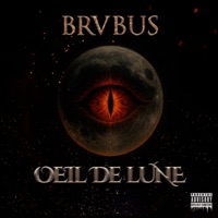 Oeil de lune - Brvbus