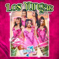 Los Yungas Mix (Los Pobres También Somos Felices, Quiero Que Amanezca, una Miradita, Mi Linda Rosa) - Single - Agua Bella