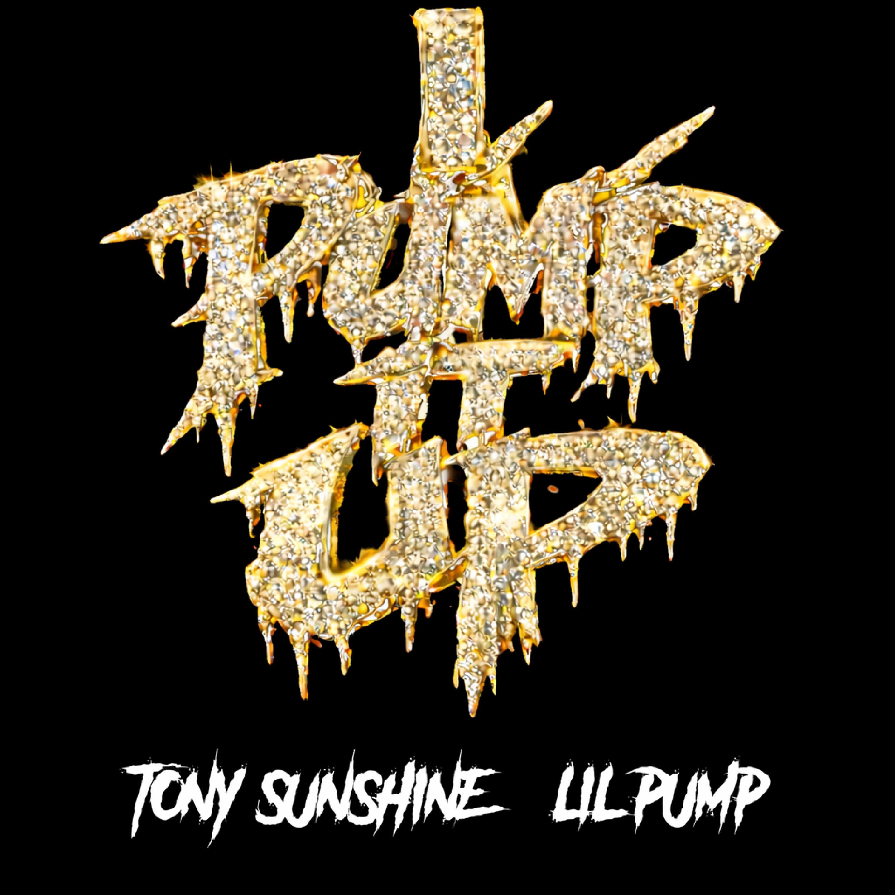 Pump It Up - Single
