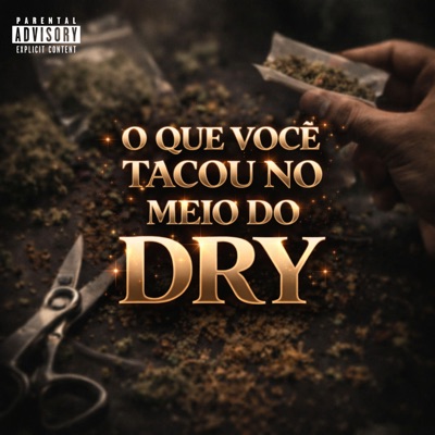 O Que Você Tacou no Meio do Dry - Single