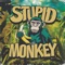 Funky Foliage - Stupid Monkey lyrics