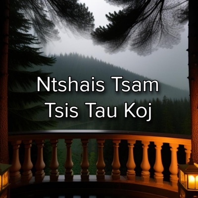 Song - Ntshais Tsam Tsis Tau Koj - Suab hmong