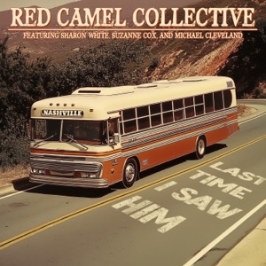Last Time I Saw Him (feat. Sharon White, Suzanne Cox & Michael Cleveland) - Single