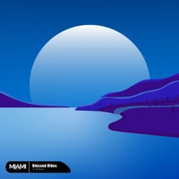 Blessed Vibes - Single - A-Sultan