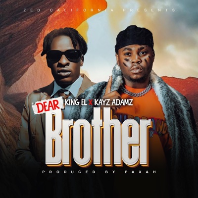 Dear Brother (feat. Kayz Adams) - Single