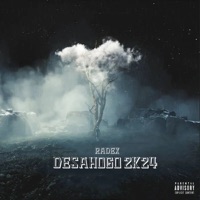 Desahogo 2K24 - Single - Radex