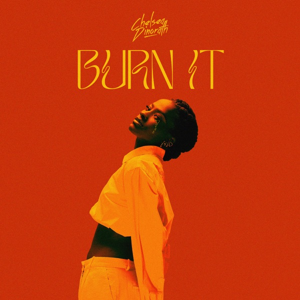 Burn It - Single
