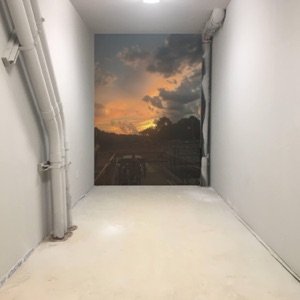 Exit Signs - Single