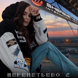 Шереметьево 2 Настя Негода