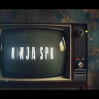 Decyzje (feat. NINJA SPK) - Single