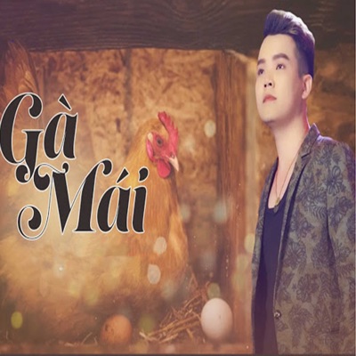 Gà Mái - Single