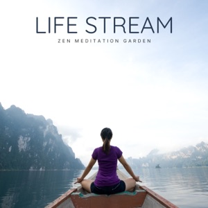 Life Stream: Healing Meditation