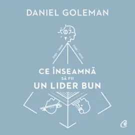 Ce înseamnă să fii un lider bun: De ce este importantă inteligența emoțională