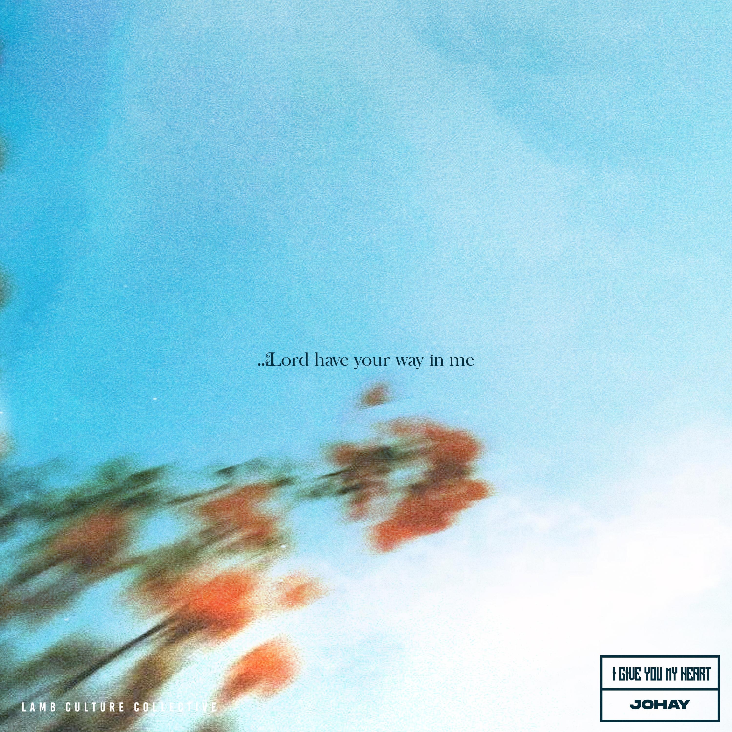 LAMB CULTURE. & Johay - I Give You My Heart