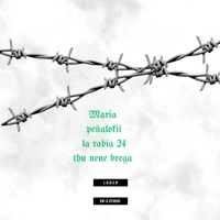 Peñalokii (feat. Thu nene brega & La rabia 24) - Single - Peñalokii