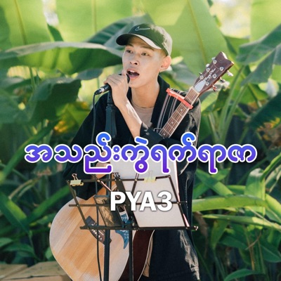 Cover Song - A Thel Kwel Yat Yar Zar (PYA3)