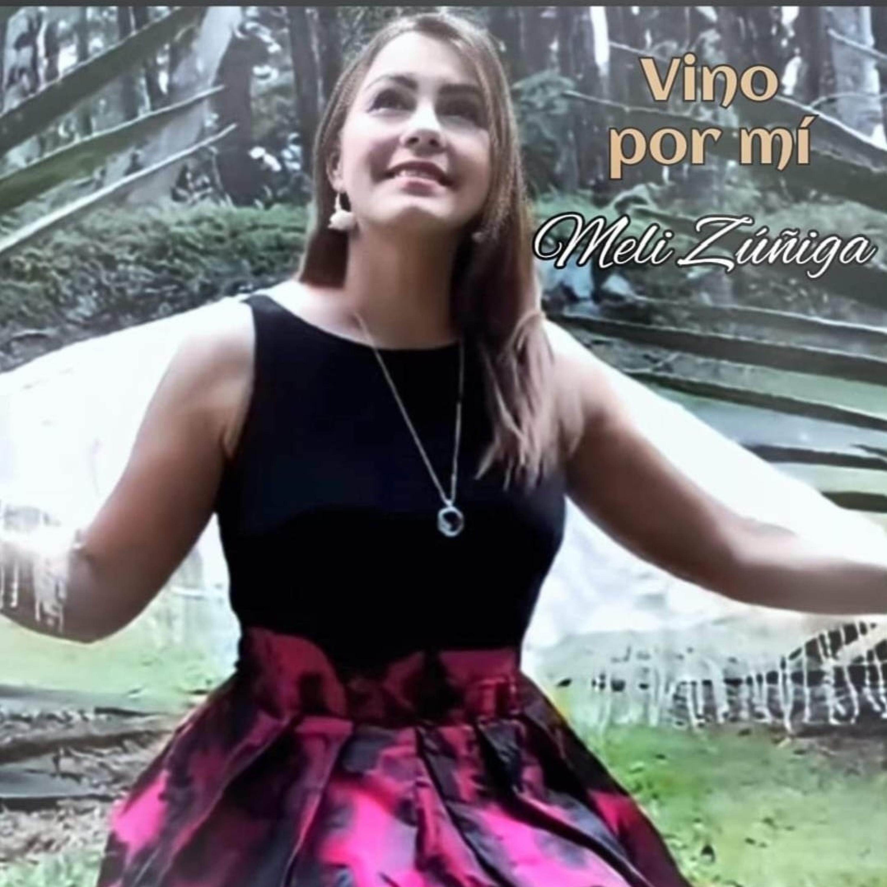 Vino a buscarme - Single