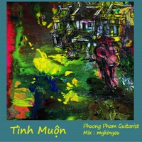 Tình Muộn - Phương Phạm Guitarist