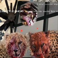 turn around (feat. Michaelis & swaggaholix) - Single - Jamante