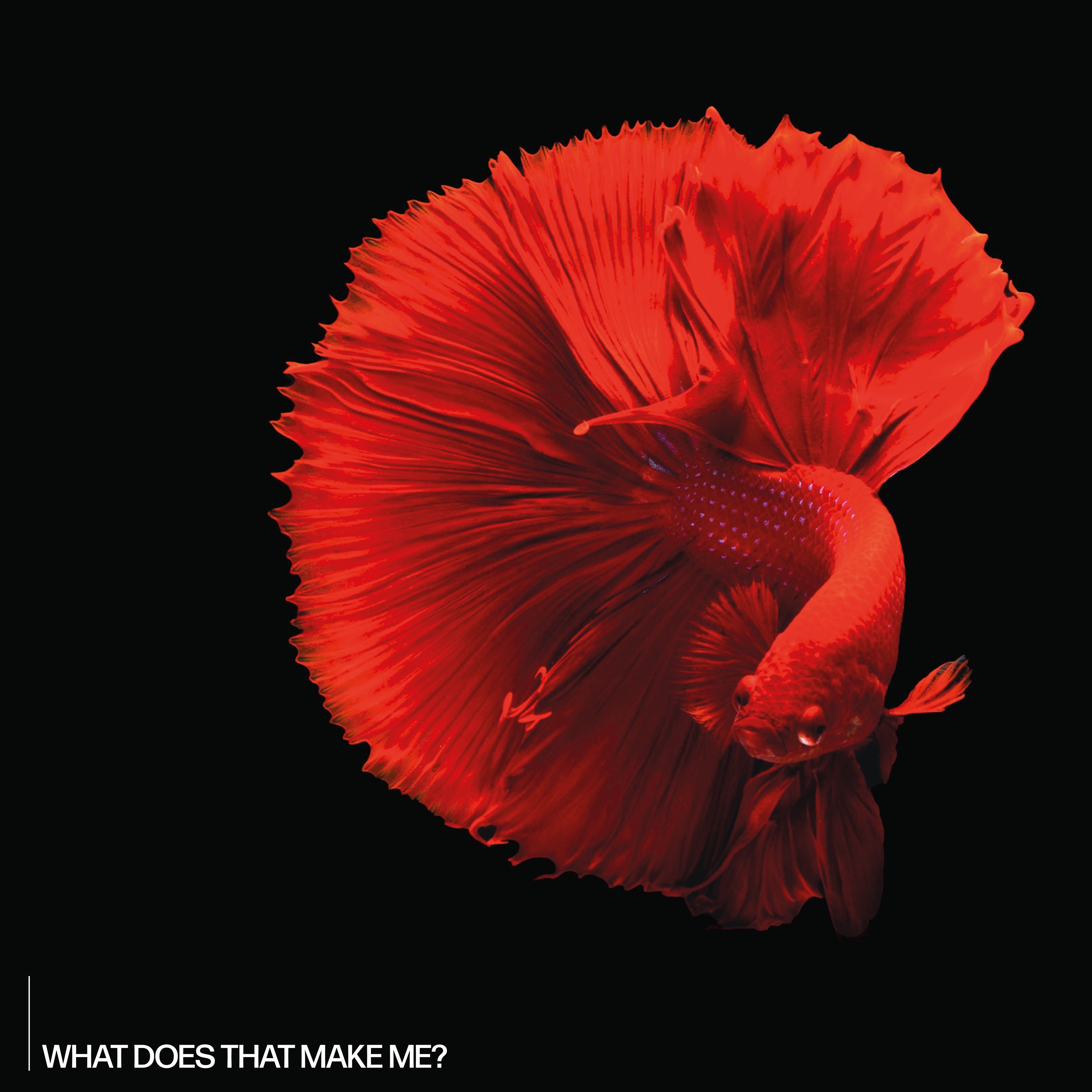 What Does That Make Me? - Single