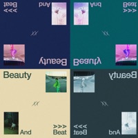 beauty and a beat (vox on soundcloud <3) - Single - Wali Aleem