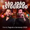 Onde Estão Meus Amigos