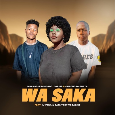 Wa saka. (feat. Chachosa Gupta., IV Vega., Danny boy Vocalist. & Darius.) - Single