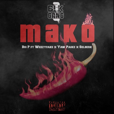 Mako (feat. Yaw Pagez, Weezyfake & Selberk) - Single