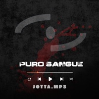 Puro Sangue (feat. Macena288) - Single - Jotta