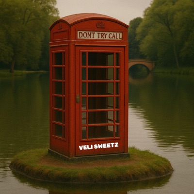 Don't Try Call - Single