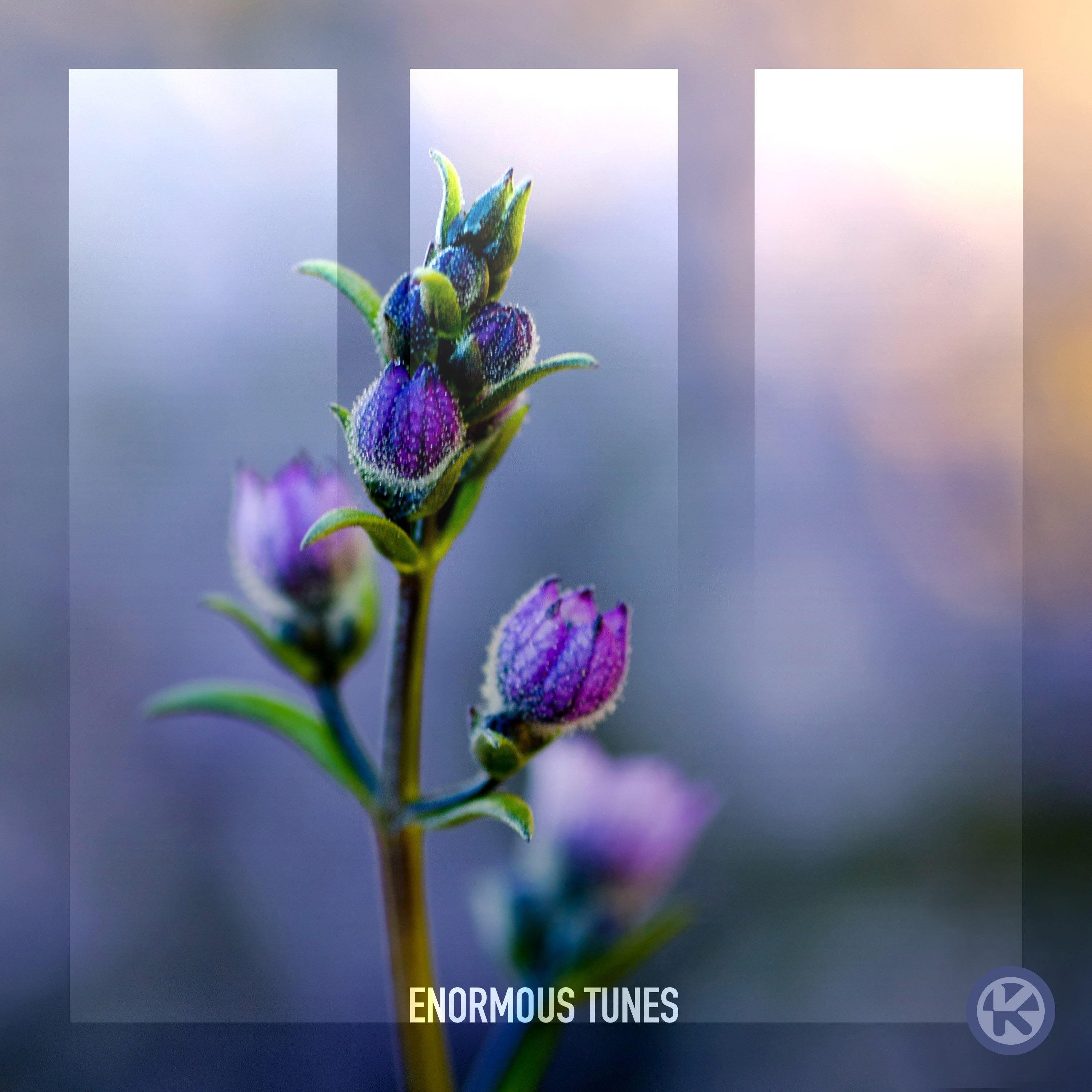 Path Of Youth - Mind Control (Extended Mix)