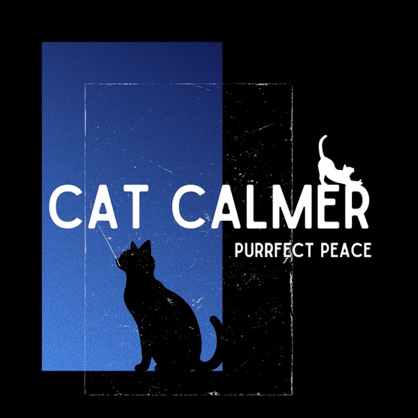 Purrfect Peace: Creating Calm for Anxious Cats