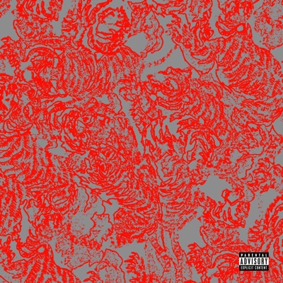 shikasta (feat. saintayga) - Single