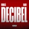 DECIBEL artwork