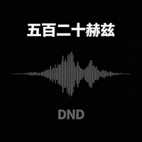 五百二十赫兹 - Single - DND