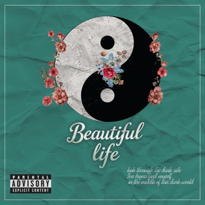 Beautiful Life - Single