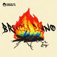 Brucia Piano — Shaza