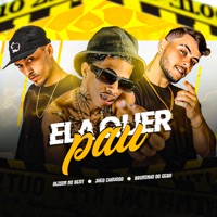 Ela Quer Pau - Single - Jheo Chavoso & Bruninho Do Gera