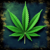 New Reggae 2025 Roots Reggae Dub Catchy Groove Smoke Music Ganja Marijuana Herb Weed Chill Music Jamaica Vibes