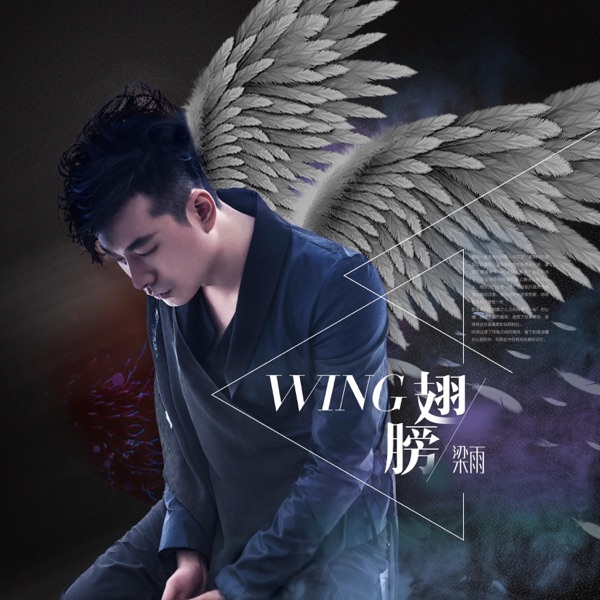 翅膀 - Single