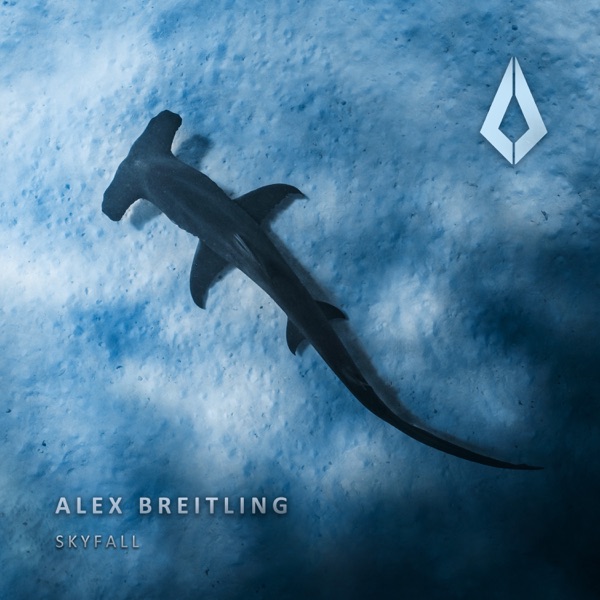 Skyfall - Single