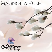 Magnolia Hush - Wildflower Strings & Relaxaction
