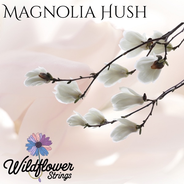 Magnolia Hush
